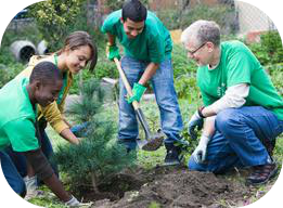 Older person planting trees with children as part of a volunteer activity.